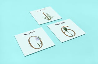 花探品牌設計 視覺敘事中的圖文藝術制作